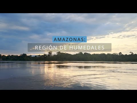 Amazonas: región de humedales