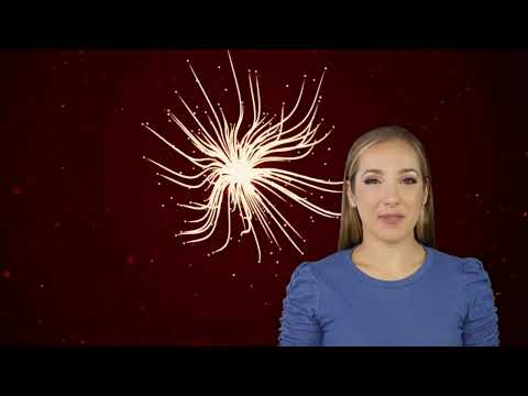 Rethinking Einstein's E=mc²: New Insights from 'Noora' by R. A. Sarkar.