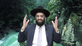 תרגיש בבית!" |הרב אלרועי כהן| (מוסדות כיסא רחמים) - התמונה מוצגת ישירות מתוך אתר האינטרנט יוטיוב. זכויות היוצרים בתמונה שייכות ליוצרה. קישור קרדיט למקור התוכן נמצא בתוך דף הסרטון