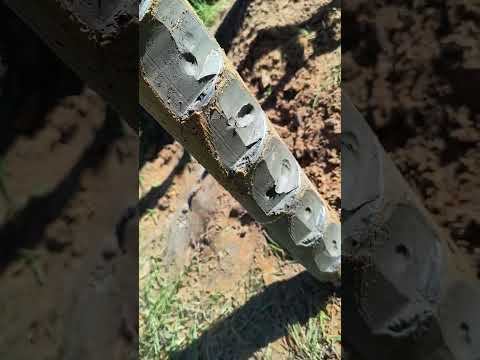 119. Kawęczynek-Borowina - the client had a good feeling