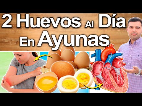 , title : '2 Huevos Al Día Salvan Tu Vida - Beneficios De Comer Huevos Todos Los Días'