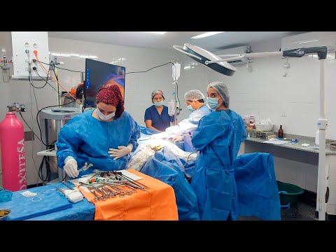 Con un operativo quirúrgico se benefició a 50 pacientes de comunidades originarias