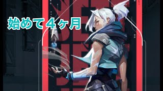 【始めて４ヵ月】動画編集初心者が１日勉強して作成したクリップ集【VALORANT】