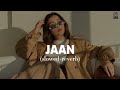 JAAN Slowed Reverb Prm Nagra New Punjabi Song 2024