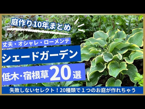 冬の美しい庭を作る、凍らない屋外植物10選  庭園