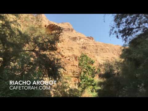 Riacho Arogot, Deserto da Judeia, Programa a Bíblia Viva