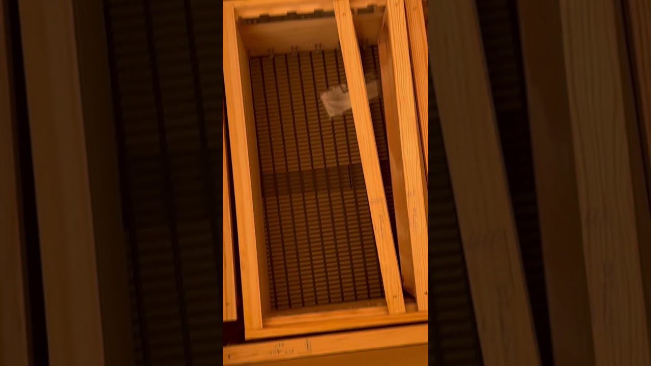 My new bee keeping tools 🐝 #bee #beehive #beekeeping