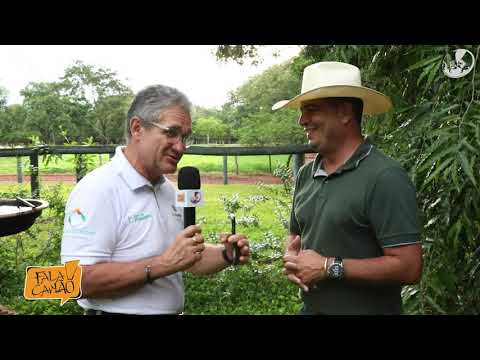 Fala Carlão 4061 | Ronan Cabral, um fazendeiro de travesseiro no Fala Carlão