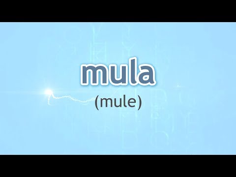 How to Pronounce Mule (Mula) in Spanish