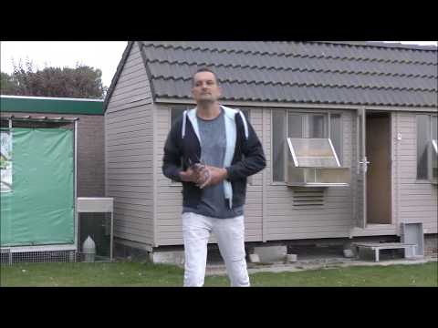 ZLU St Vincent - Thuiskomst duiven Frederik Leliaert