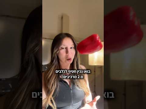 חטיף מהיר לכלבים לקיץ משני מרכיבים בלבד