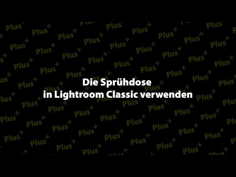 Die Sprühdose in Lightroom Classic verwenden