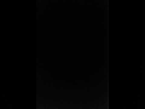 drekavac u novom sadu