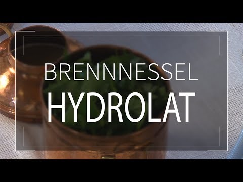 Nettle hydrosol | Herb and cooking workshop