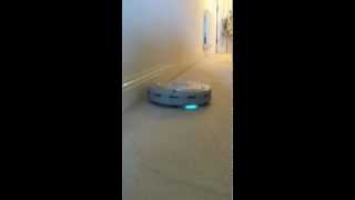 Burt the cleaning robot