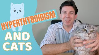 Hyperthyroidism and cats