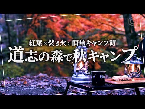 【秋キャンプ】道志の森で紅葉と焚き火と簡単キャンプ飯｜冷える夜にトランギアで温まる鴨南蛮そばとお湯割り焼酎｜ソロキャンプ