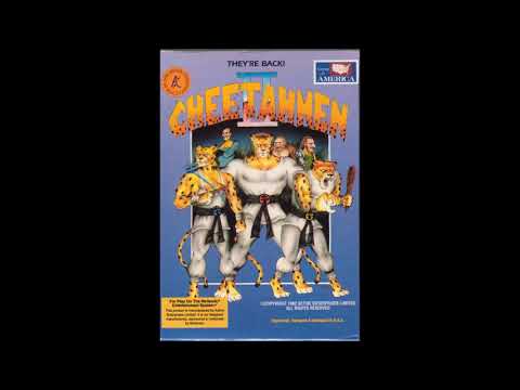 Best VGM 806 - Cheetahmen II - Main Theme