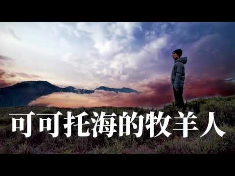 🎼 [ 可可托海的牧羊人 ] 🎼  演唱 : 王琪