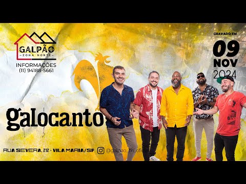 GALOCANTÔ NO GALPÃO ZN (BLOCO 01)