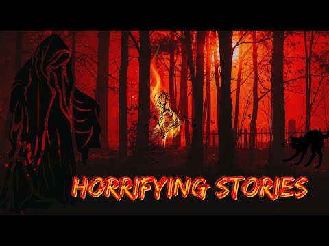 20 HORRIFYING STORIES | The Watchman Horror | Scary and Horror stories