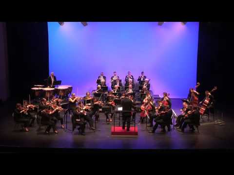 Beethoven - Symphony n°1 in C Major op.21, MVT 1