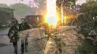 Heliotropes - Early in the Morning