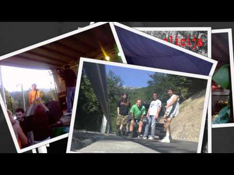 TRULA KOALICIJA - Vrsta