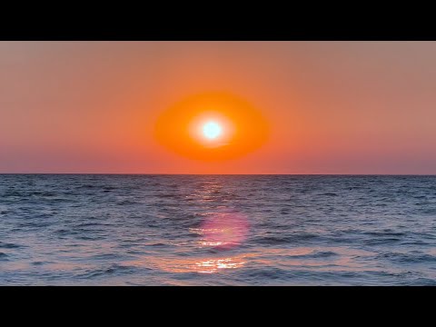 DIE NERVEN - EIN TAG