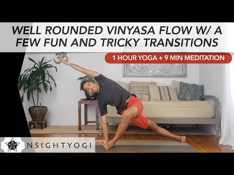 Well Rounded Vinyasa Flow with Fun and Tricky Transitions, 1 Hour Yoga Class + 9 Minute Meditation