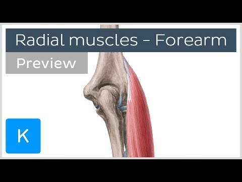 korszerű kezelések az osteochondrosisról