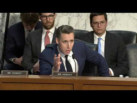 Senator Hawley EXPOSES Verizon's Chris Miller over their cooperation with Arctic Frost investigation