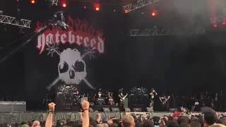 Hatebreed - Tear it Down (Hellfest 2016)