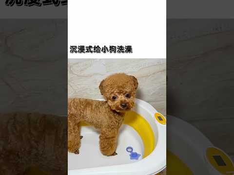 حمّام سحري بيدَي أمي  | لحظة جميلة بين الأم والطفل🛁💖