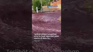 Viral Sebuah Desa di Portugal Kebanjiran 2 Juta Liter Anggur Merah, Jalan-jalan Menjadi Memerah