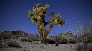 Mojave Reds: A momentary lapse in time. 4k  timelapse featuring Chakra Chant