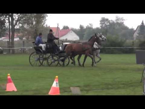 V  Bárándi Lovasnap