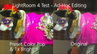 preview picture of video 'Lightroom 4 Video Test'