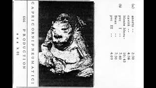 CAPRICORNI PNEUMATICI - Capricorni Pneumatici (1987)