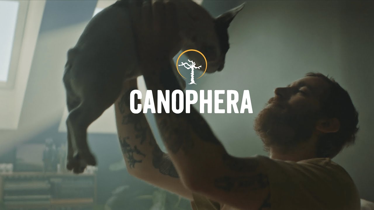 クラウドファンディングプロジェクト:CANOPHERA(キャノフィラ) コーヒーの木から生まれた、犬にも環境にもやさしいおもちゃ