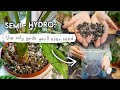 Semi Hydro Tutorial Grow More Plants With Less Effort