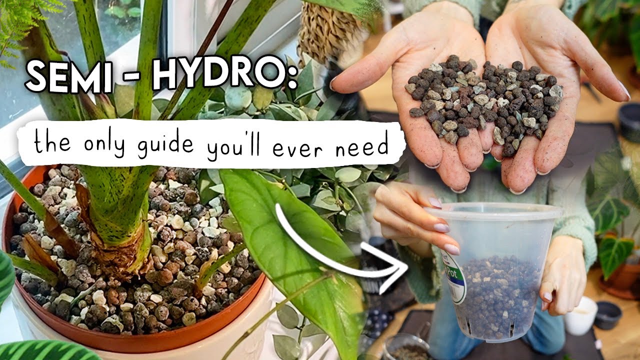Semi-Hydro Tutorial: Grow More Plants With Less Effort