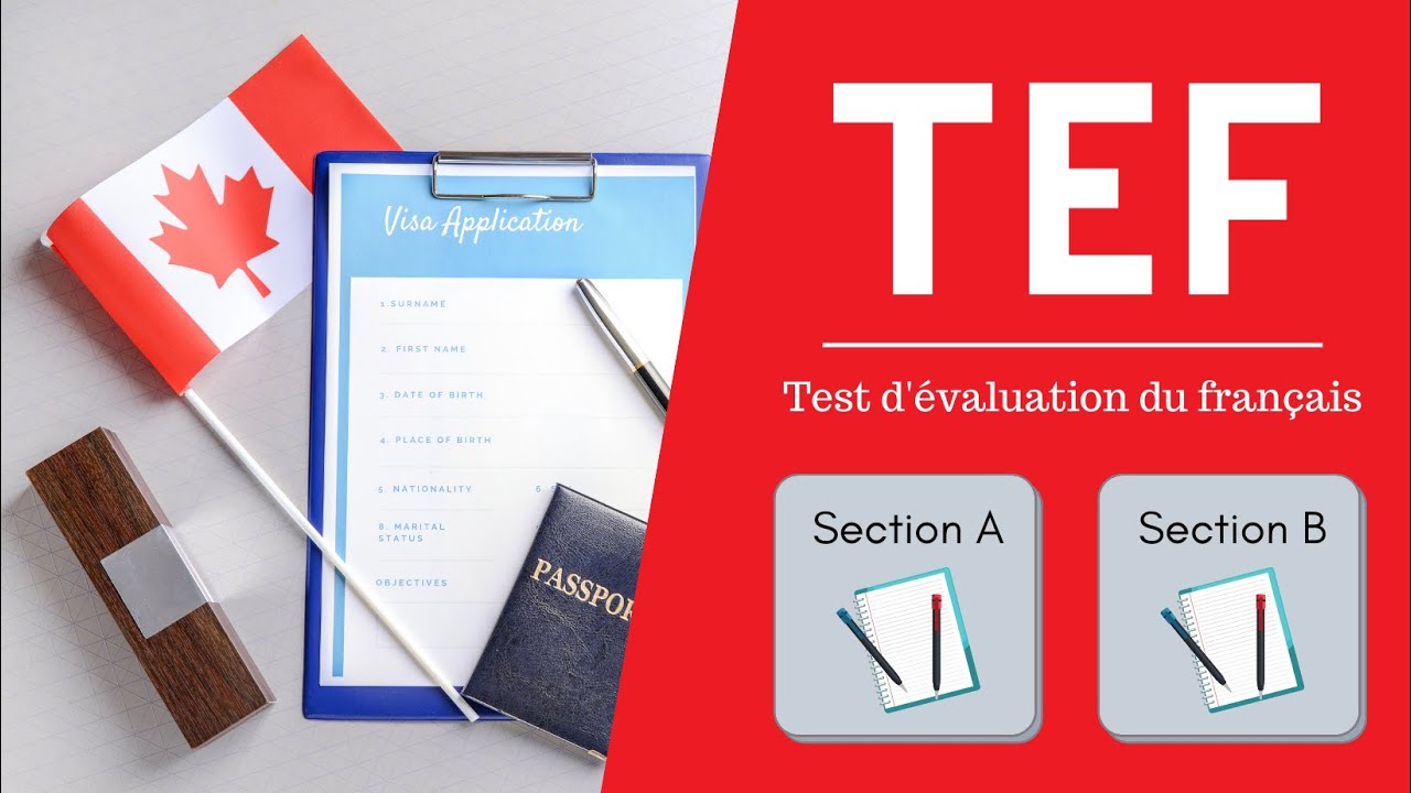 PRODUCTION ÉCRITE TEF - Cours en direct x PrepMyFuture - 1/2