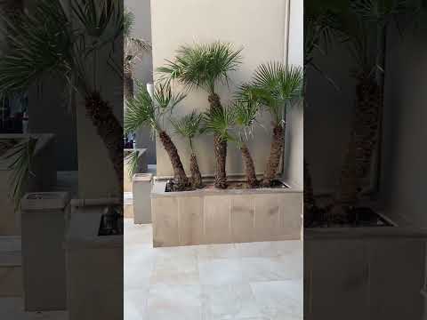 Rosa Beach Thalasso & Spa , Monastir, Tunisia 2023.