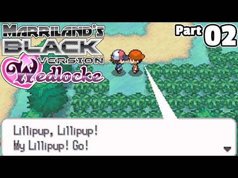 Pokémon Black Wedlocke, Part 02: Lots of Li'l Lillipup!