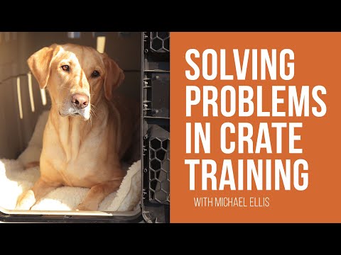 Solving Problems in Crate Training - Michael Ellis