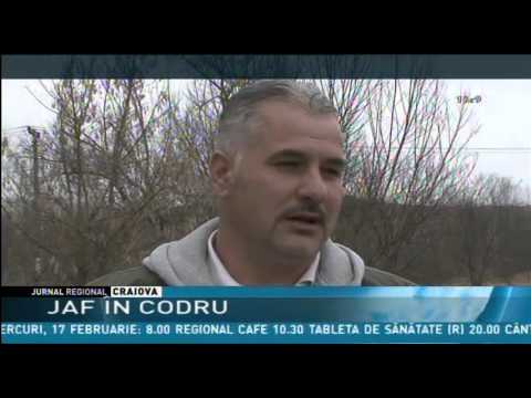 JAF ÎN CODRU