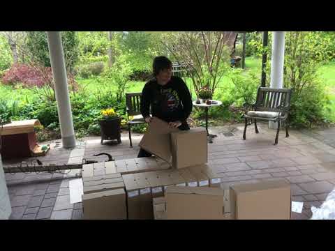 Randale Records News Teil 115 - neue Veröffentlichung....