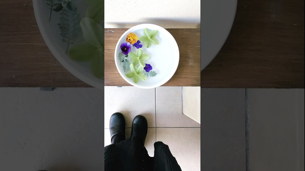 花のある暮らし🪻🍃 #花のある生活 #日々の暮らしと犬と #暮らしのvlog
