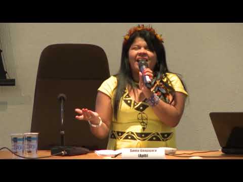 Seminário Perspectivas de Natureza: Conferência de Sonia Guajajara